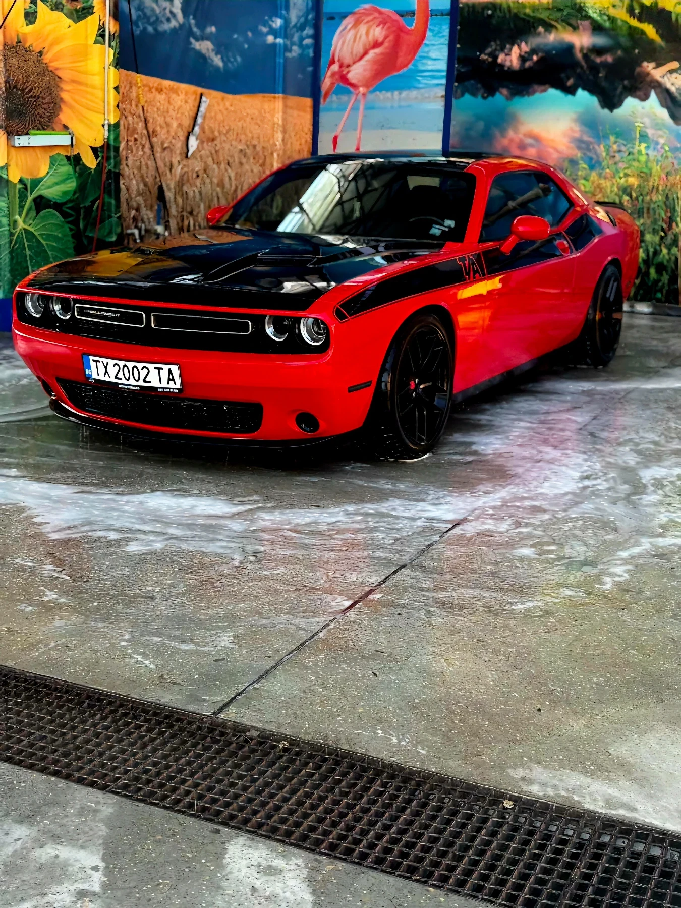 Dodge Challenger 3.6 | Mobile.bg � ����������� 9