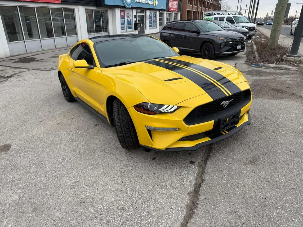 Ford Mustang * EcoBoost * КЛИП * ОТ ПРЕДСТАВИТЕЛСТВО , снимка 3 - Автомобили и джипове - 53961493