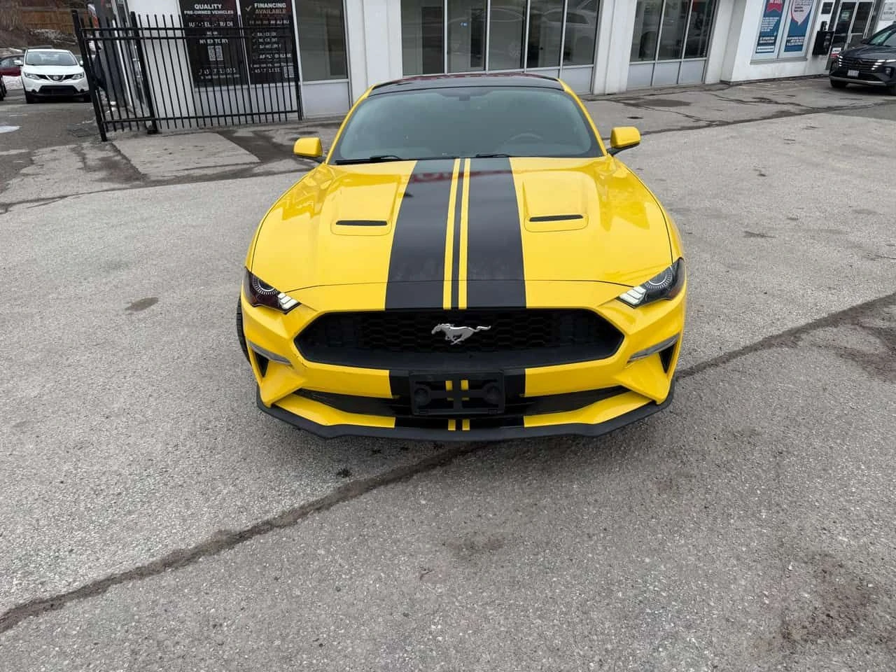 Ford Mustang * EcoBoost * КЛИП * ОТ ПРЕДСТАВИТЕЛСТВО , снимка 2 - Автомобили и джипове - 53961493