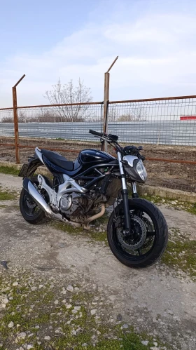 Suzuki Gladius А2 - изображение 1
