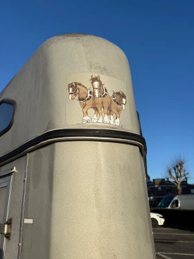 За автомобил Eduard Ремарке за Животни/Коне, снимка 3 - Ремаркета - 52892870