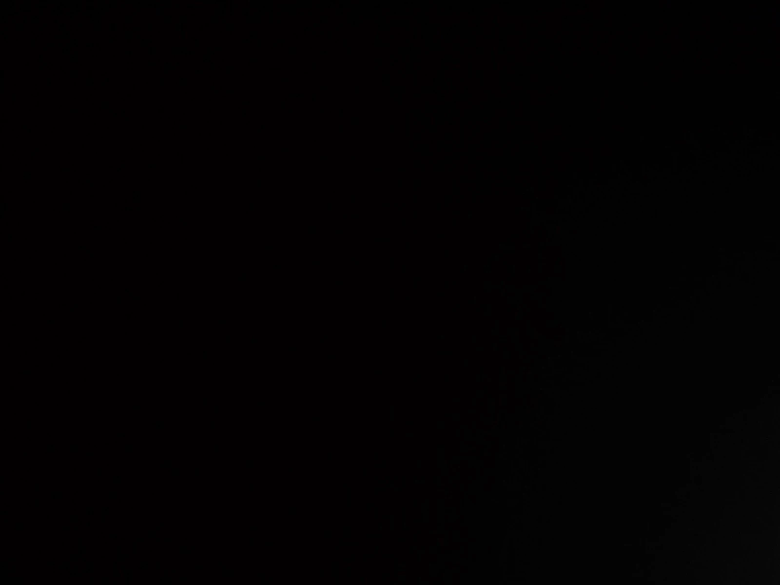 Chevrolet Corvette 6.2L 8cyl Rear Wheel Drive, снимка 12 - Автомобили и джипове - 53739394