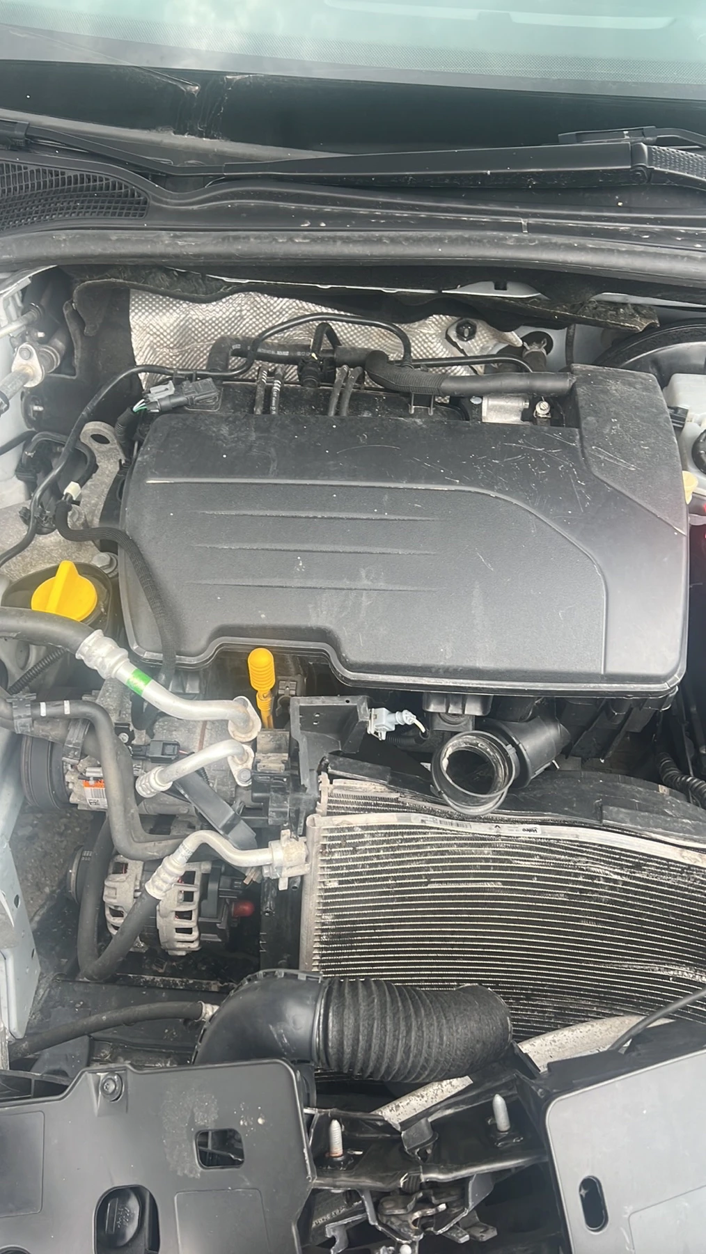 Renault Clio 1.2i | Mobile.bg — изображение 11