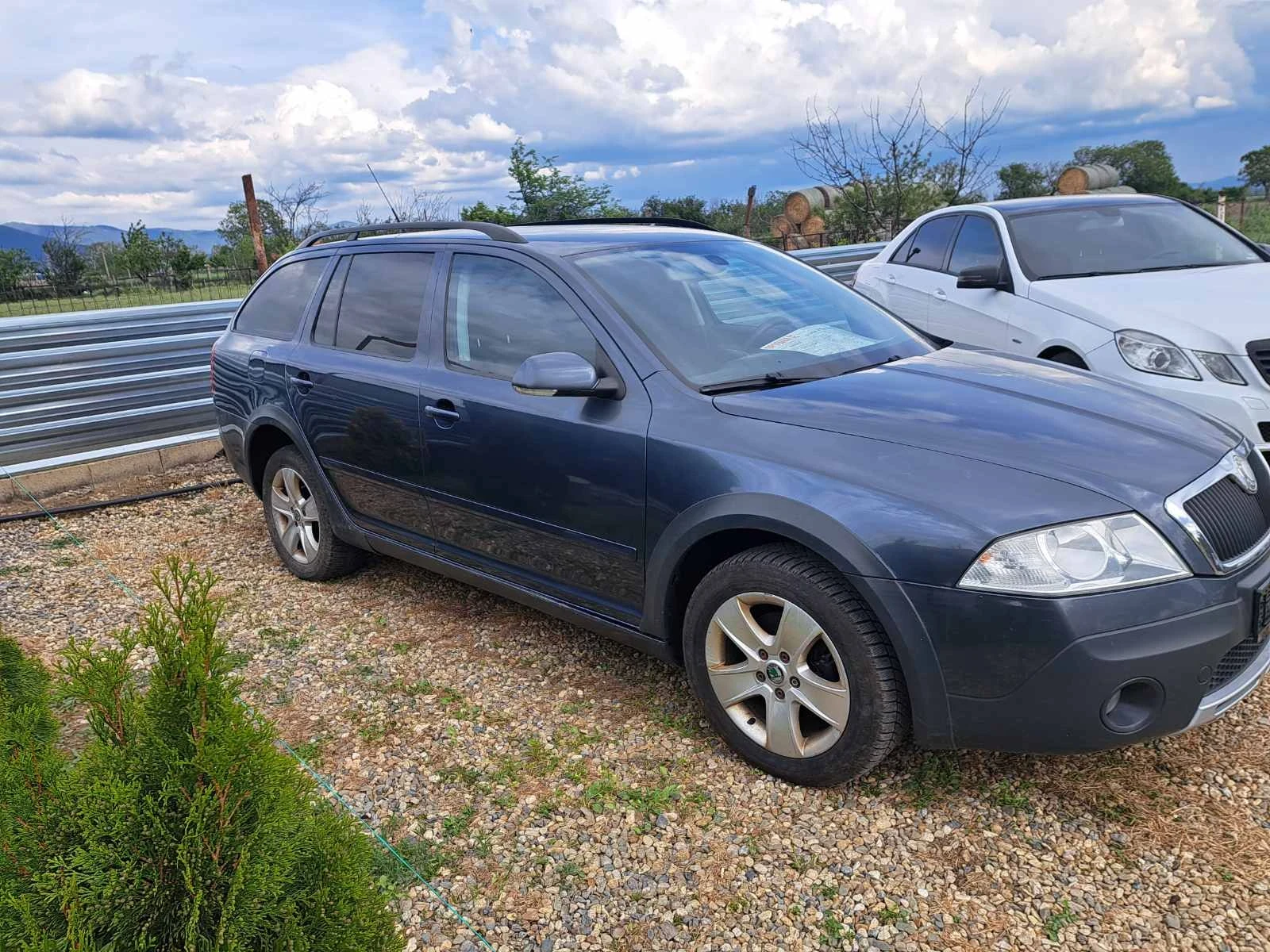Skoda Octavia, снимка 4 - Автомобили и джипове - 54691335