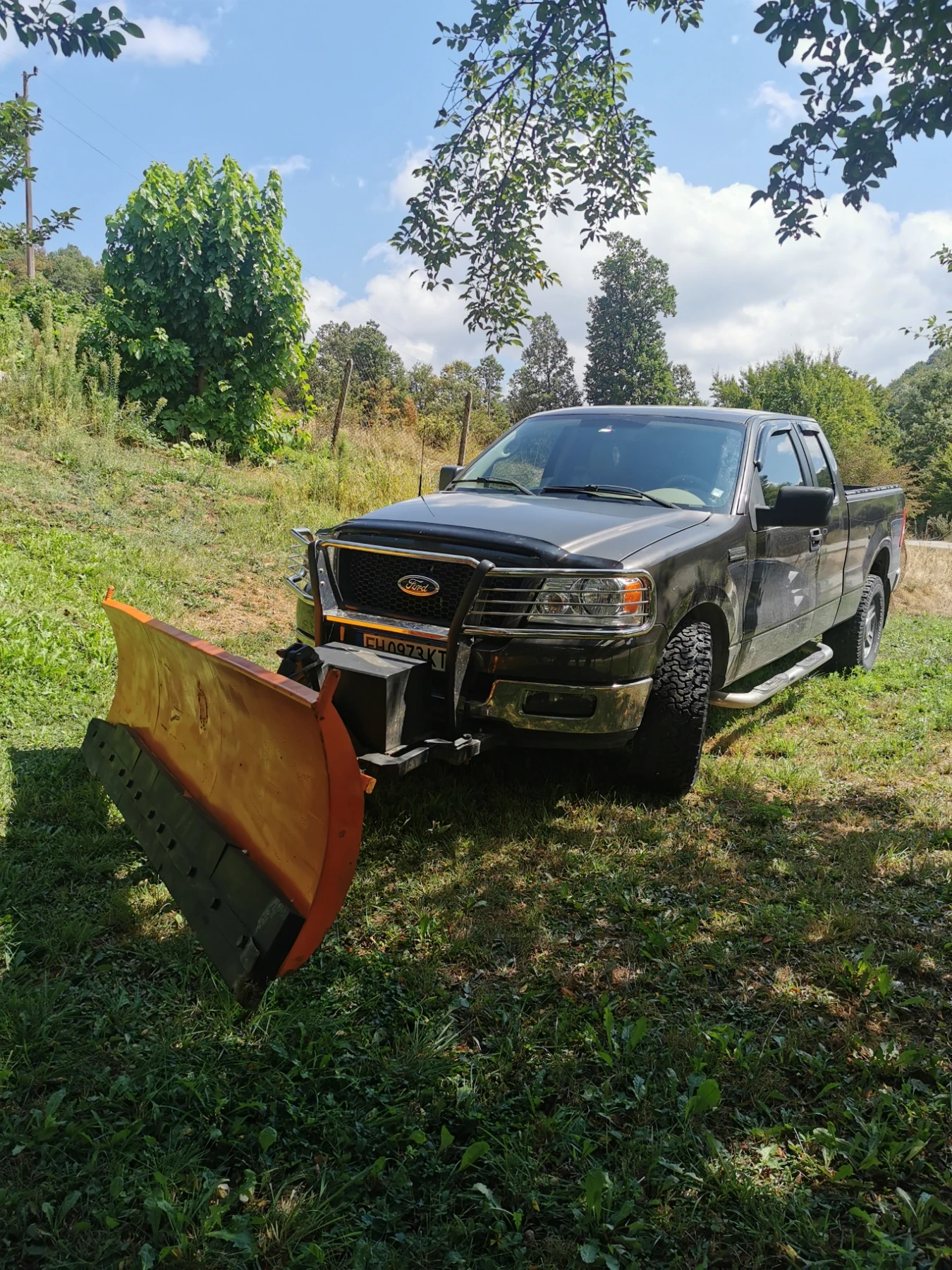 Ford F150 СНЕГОРИН, снимка 1