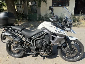  Triumph Tiger