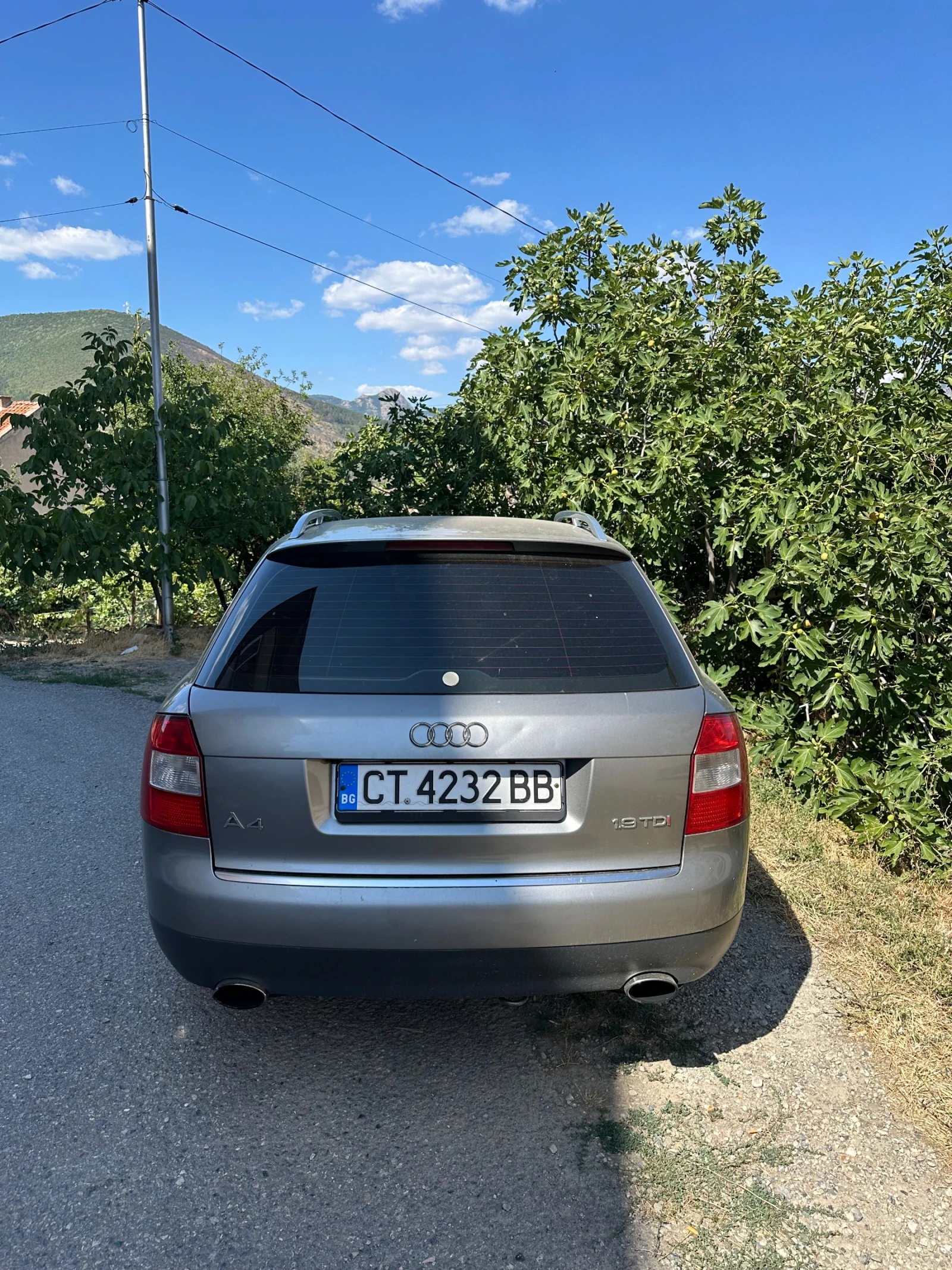 Audi A4 1.9 TDI 260кс - изображение 4