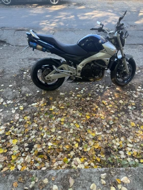 Suzuki Gsr  - изображение 1