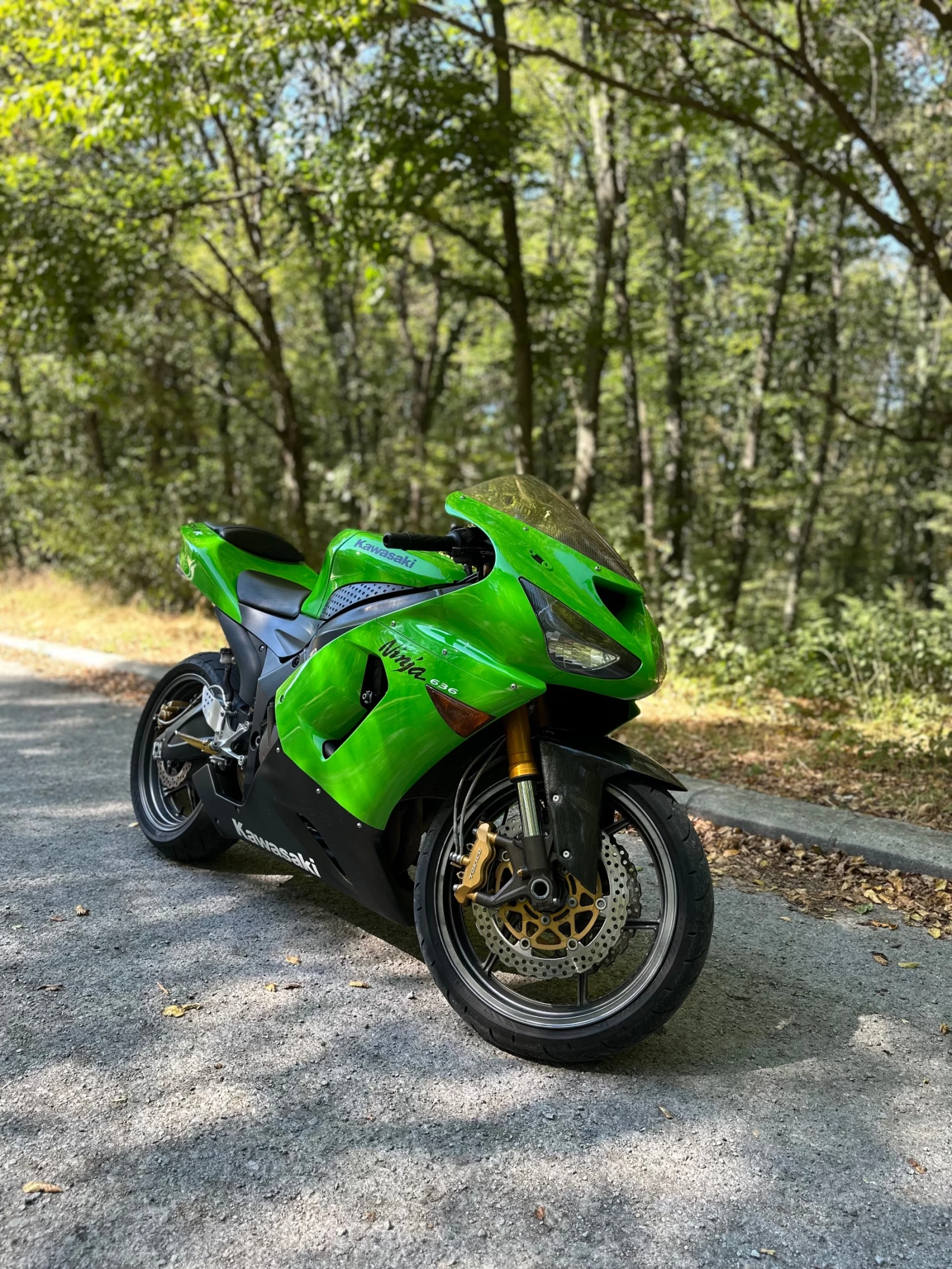 Kawasaki Ninja 636, снимка 1