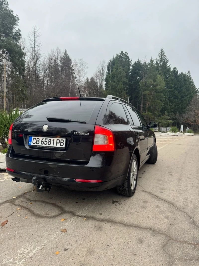 Skoda Octavia, снимка 4 - Автомобили и джипове - 53134924