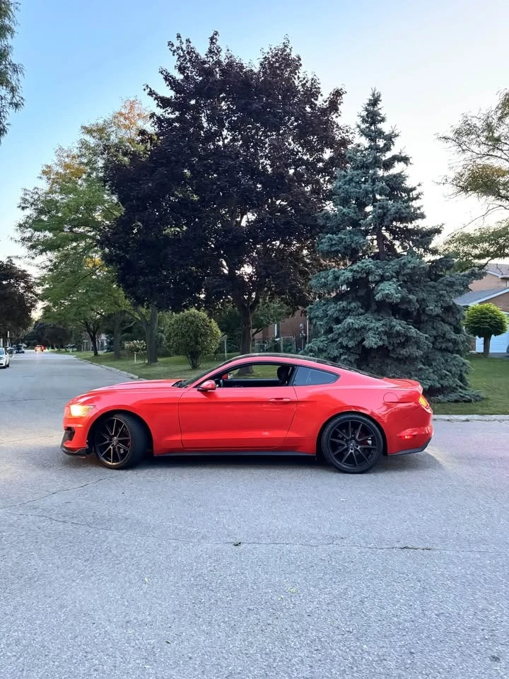 Ford Mustang * * CARFAX * * АВТОКРЕДИТ * *  - изображение 3