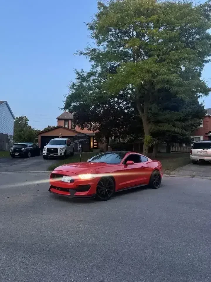 Ford Mustang * * CARFAX * * АВТОКРЕДИТ * *  - изображение 7