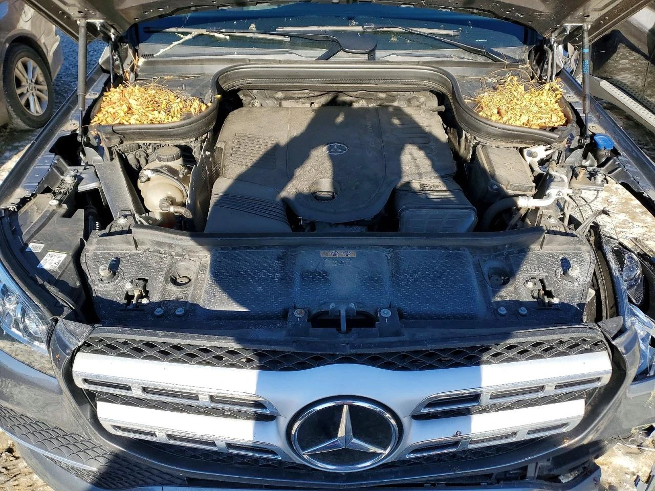 Mercedes-Benz GLS 450 | Mobile.bg � ����������� 12