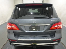Mercedes-Benz ML 350 * CARFAX * ЦЕНА ДО БЪЛГАРИЯ - 32500 лв. / 16616.99 € - 62202136 5