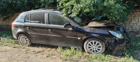 Opel Signum - 499 € / 975.96 лв. - 72577310 2