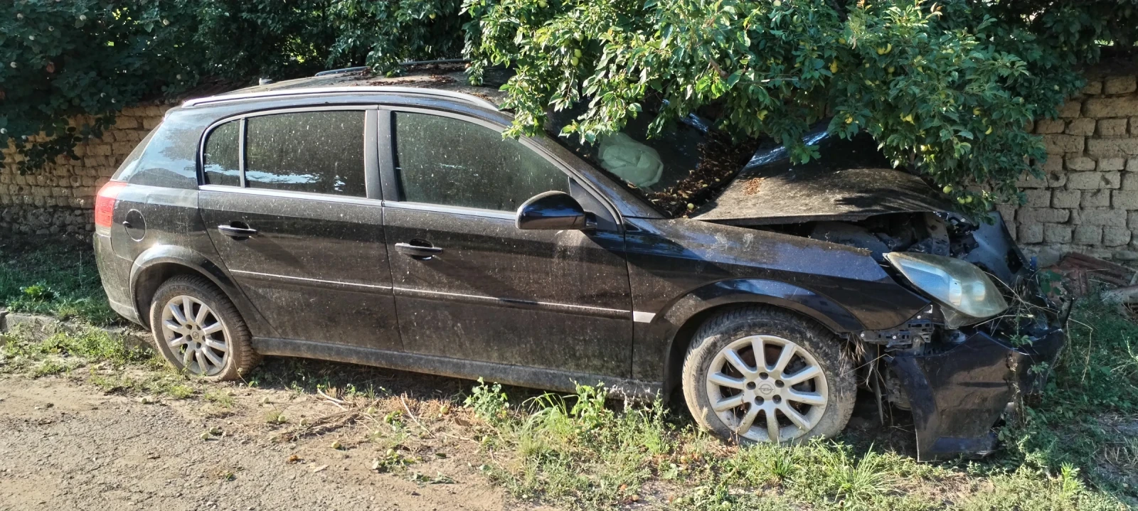 Opel Signum, снимка 2 - Автомобили и джипове - 55472818