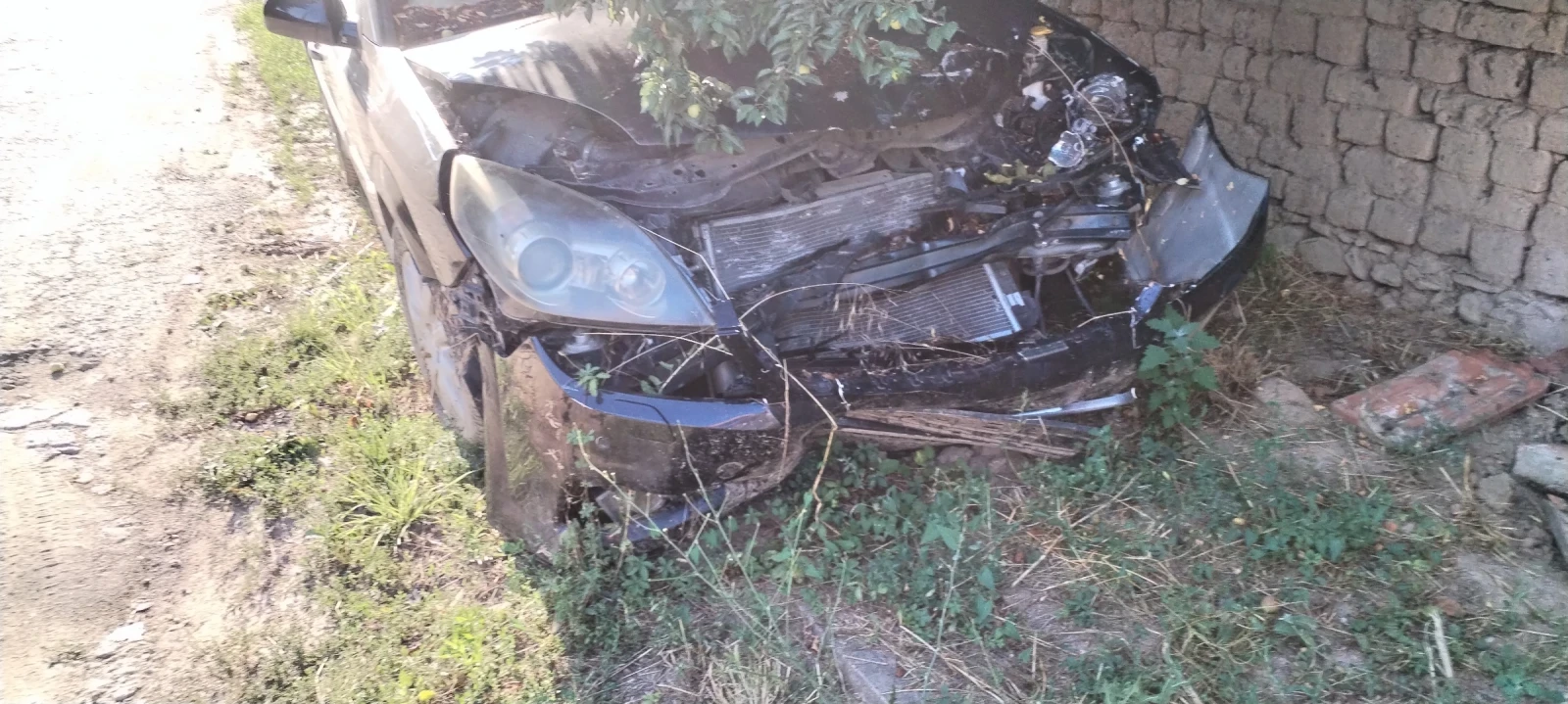 Opel Signum