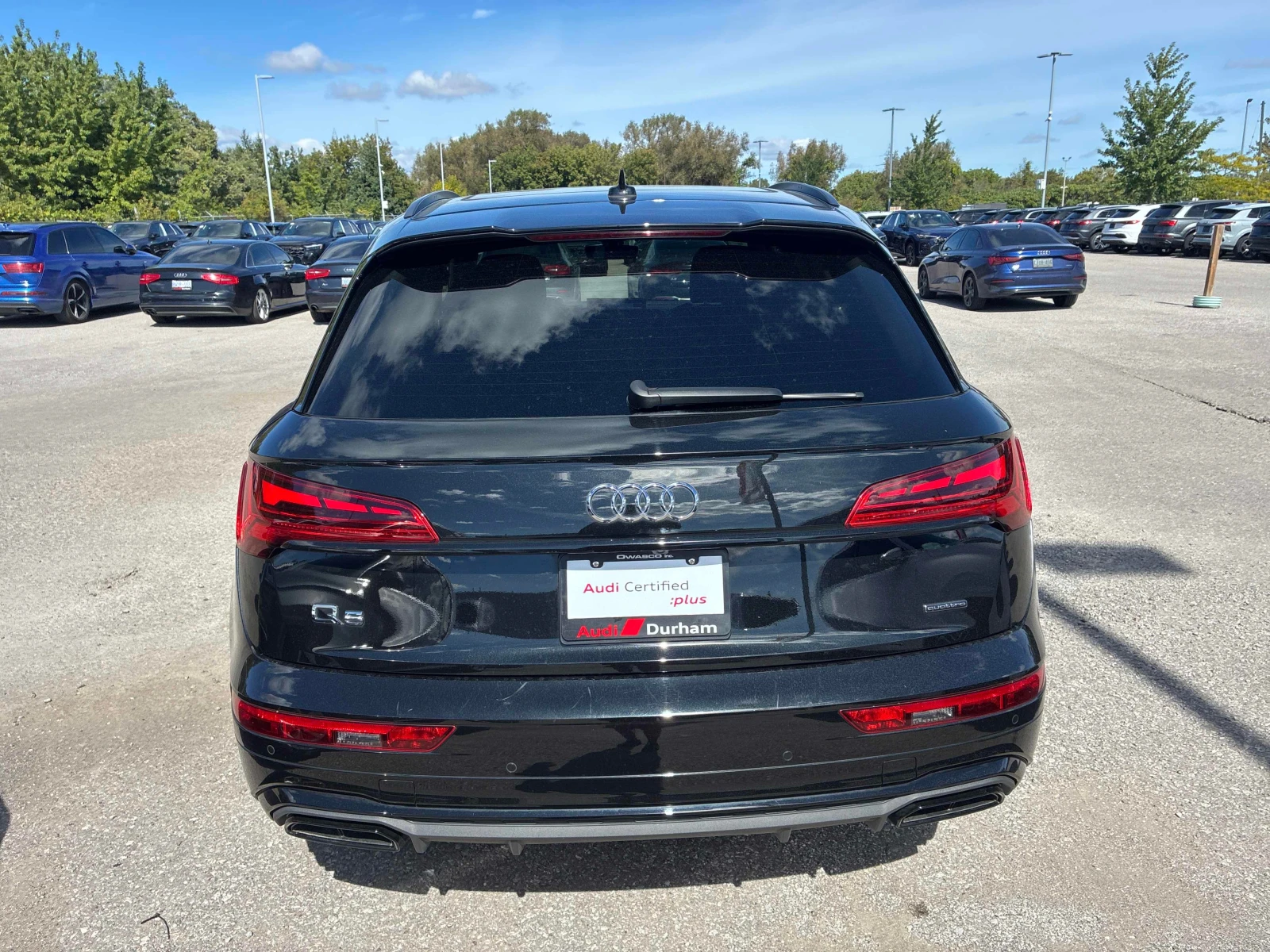 Audi Q5 * Progressiv * АВТОКРЕДИТ БЕЗ ПЪРВОНАЧАЛНА ВНОСКА*, снимка 4 - Автомобили и джипове - 56158374