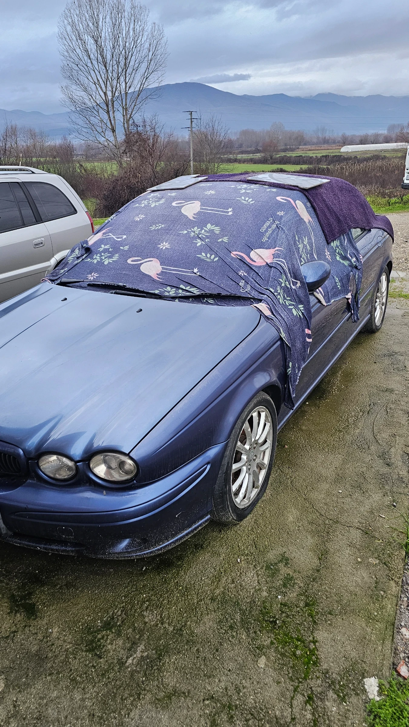 Jaguar X-type  - изображение 4
