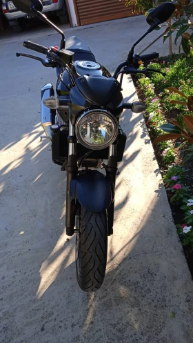 Suzuki SV, снимка 3