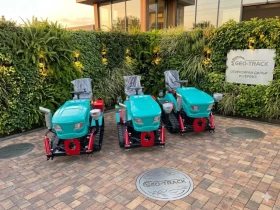 Друг вид Внос, снимка 5