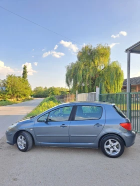     Peugeot 307 1.6