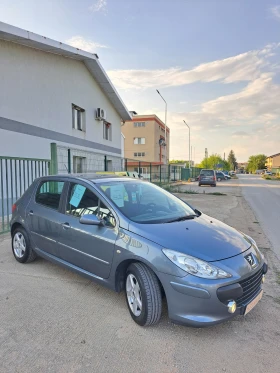     Peugeot 307 1.6