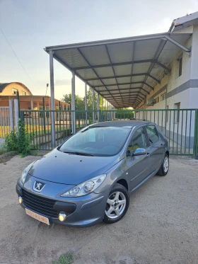     Peugeot 307 1.6