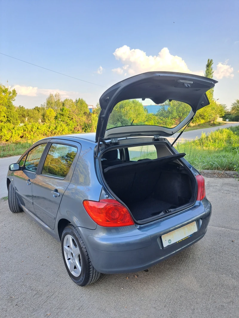 Peugeot 307 1.6, снимка 7 - Автомобили и джипове - 47381095