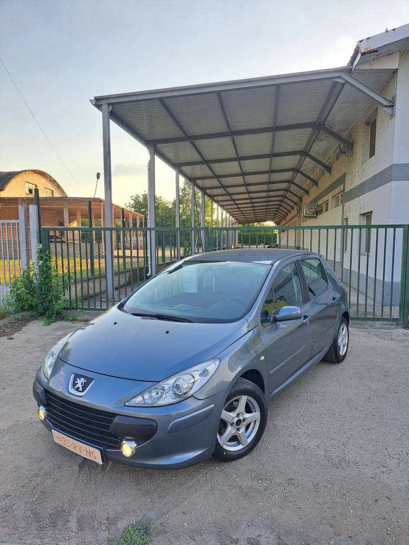 Peugeot 307 1.6, снимка 2 - Автомобили и джипове - 47381095