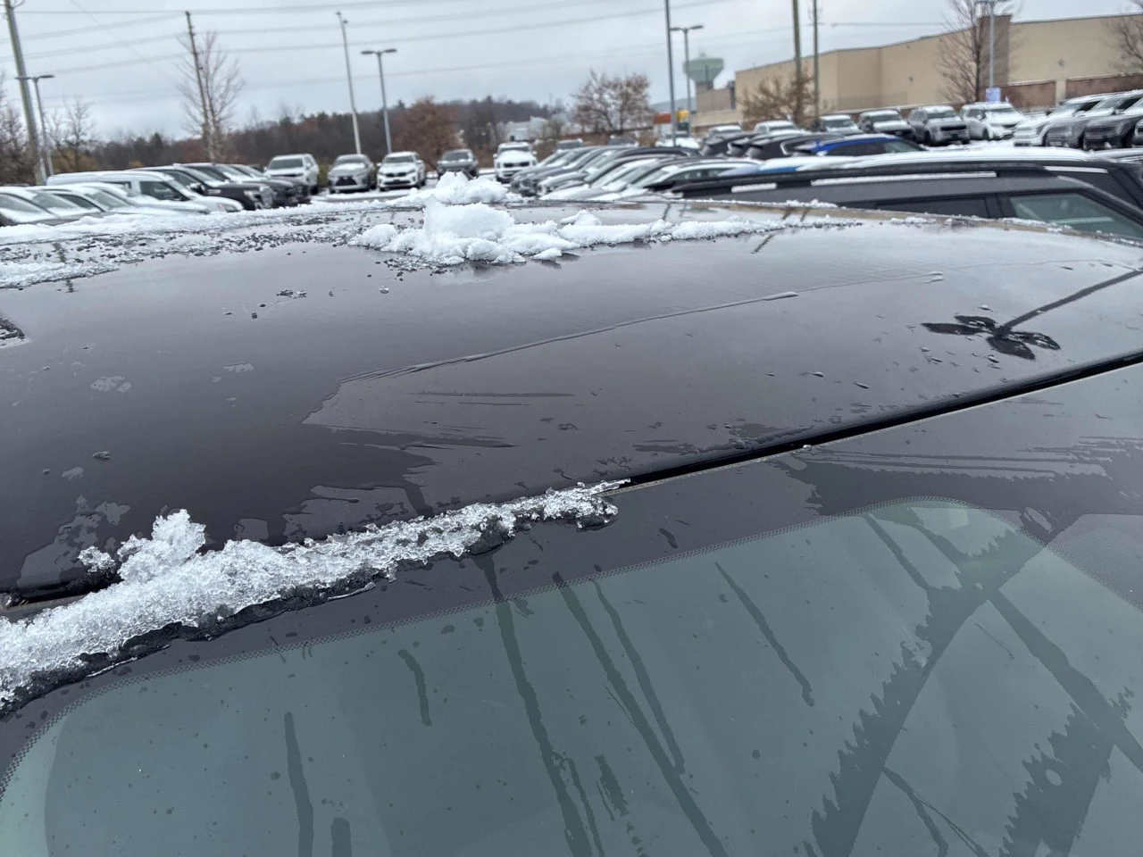 Dodge RAM 1500 CARFAX*     | Mobile.bg   15