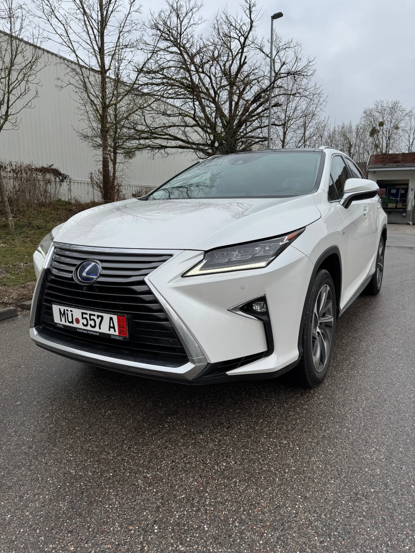 Lexus RX 450h, снимка 16 - Автомобили и джипове - 53837471