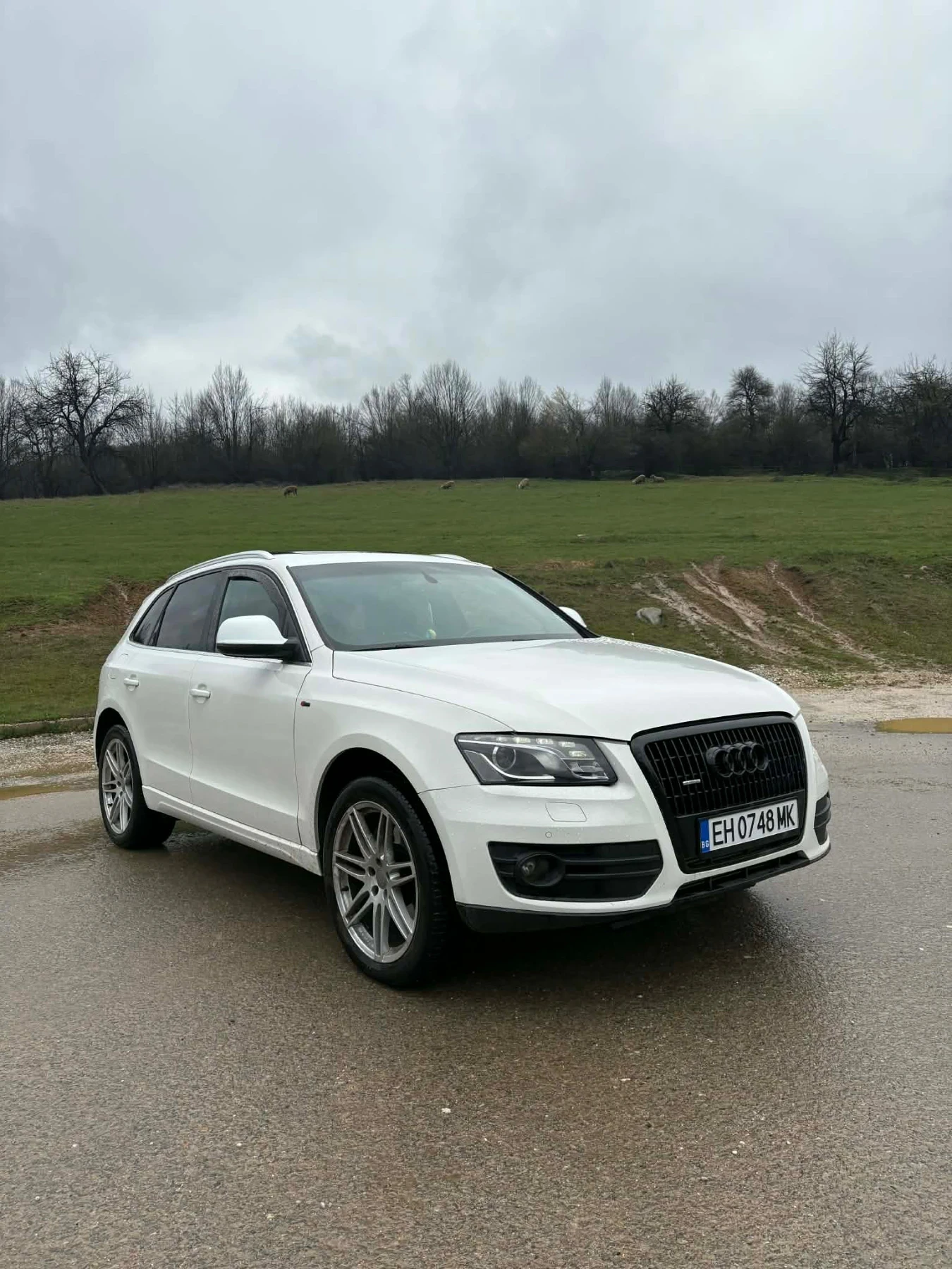 Audi Q5 3.0TDI ПАНОРАМА/НАВИГАЦИЯ/КОЖА, снимка 3 - Автомобили и джипове - 53864137