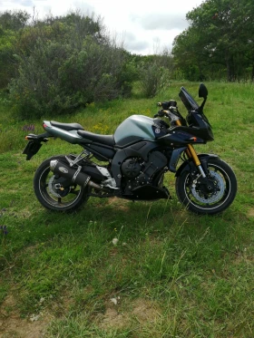 Yamaha FZ1 Fazer 1000 ABS, снимка 1