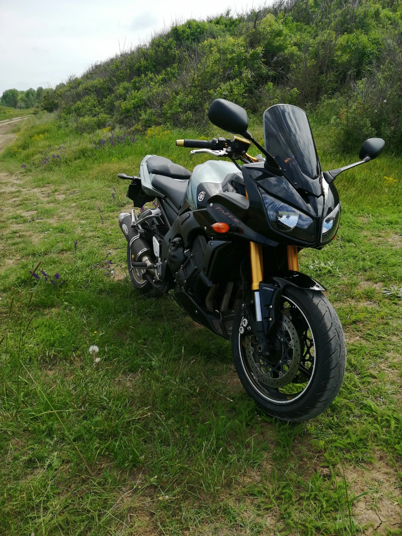 Yamaha FZ1 Fazer 1000 ABS - изображение 5