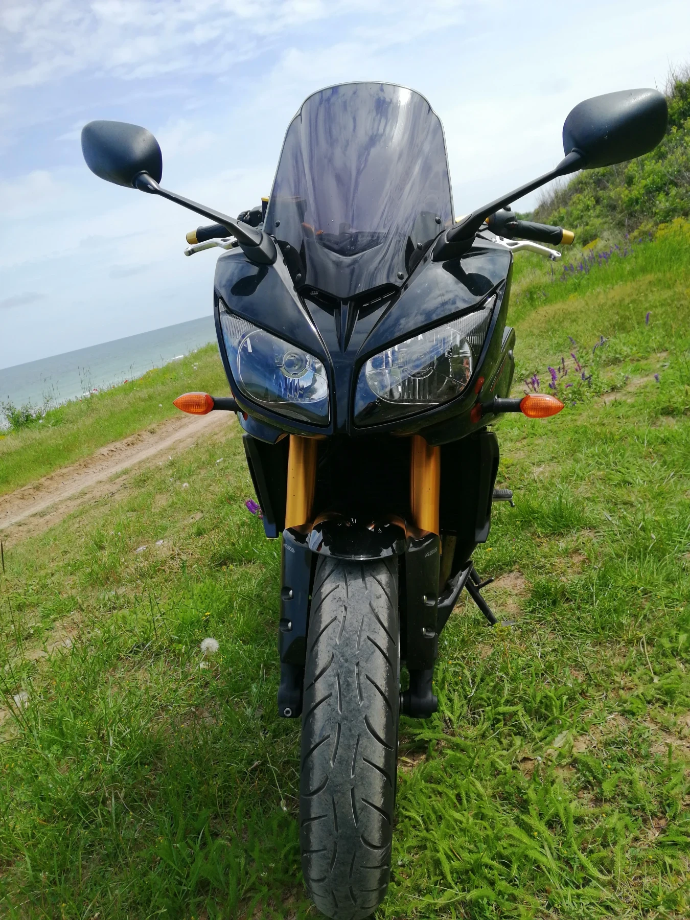 Yamaha FZ1 Fazer 1000 ABS - изображение 4