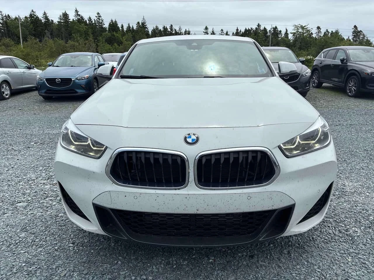 BMW X2 * xDrive28i * CARFAX * БЕЗ ПЪРВОНАЧАЛНА ВНОСКА, снимка 6 - Автомобили и джипове - 55226039