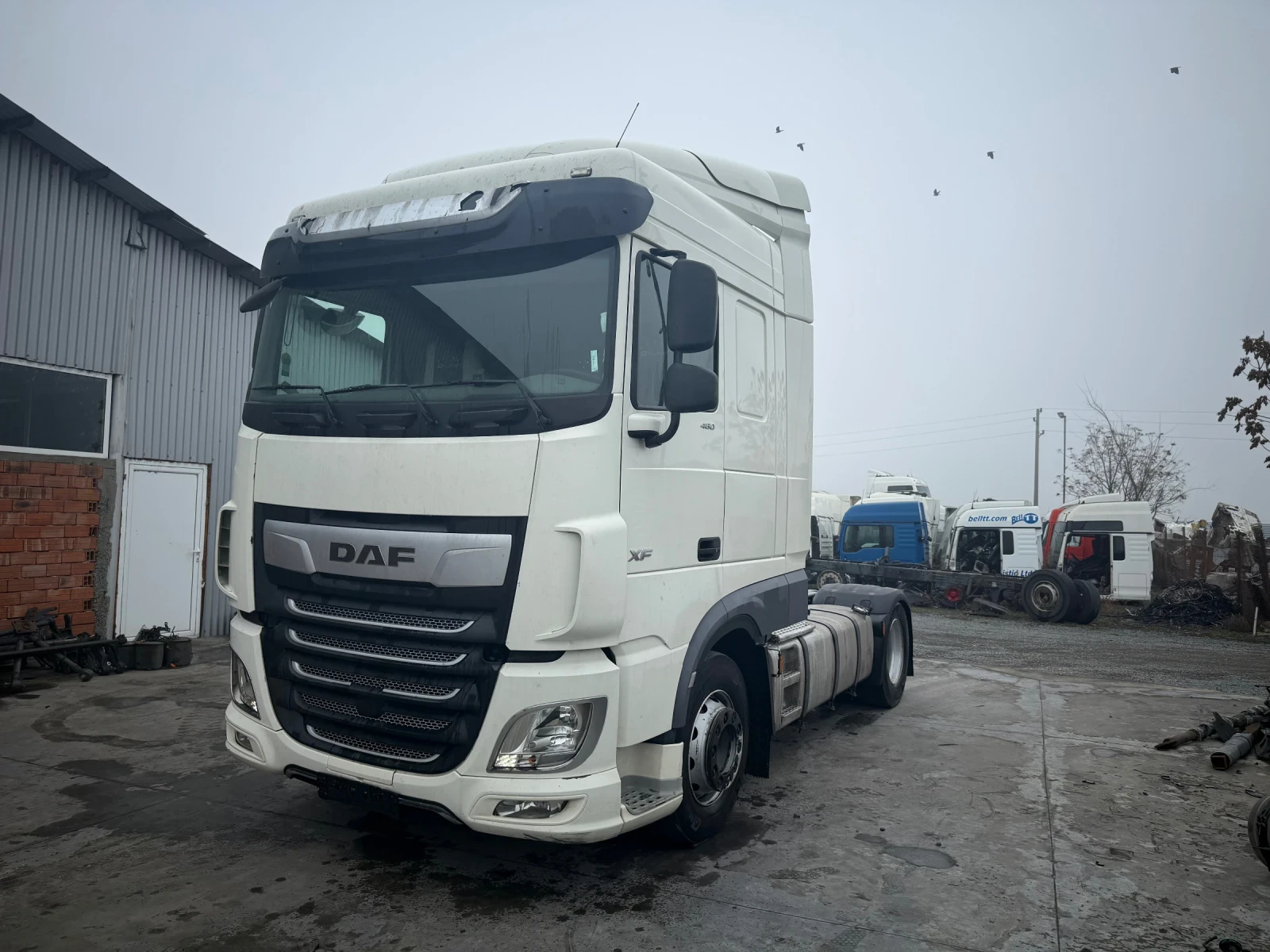Daf XF 480 | Mobile.bg   1