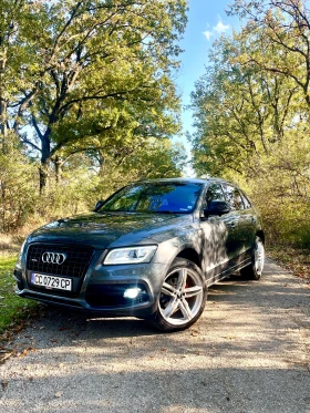 Audi Q5 Black Edition S-line 2.0 TDi 170kc 4x4  - 7700 € / 15059.89 лв. - 14741614 17