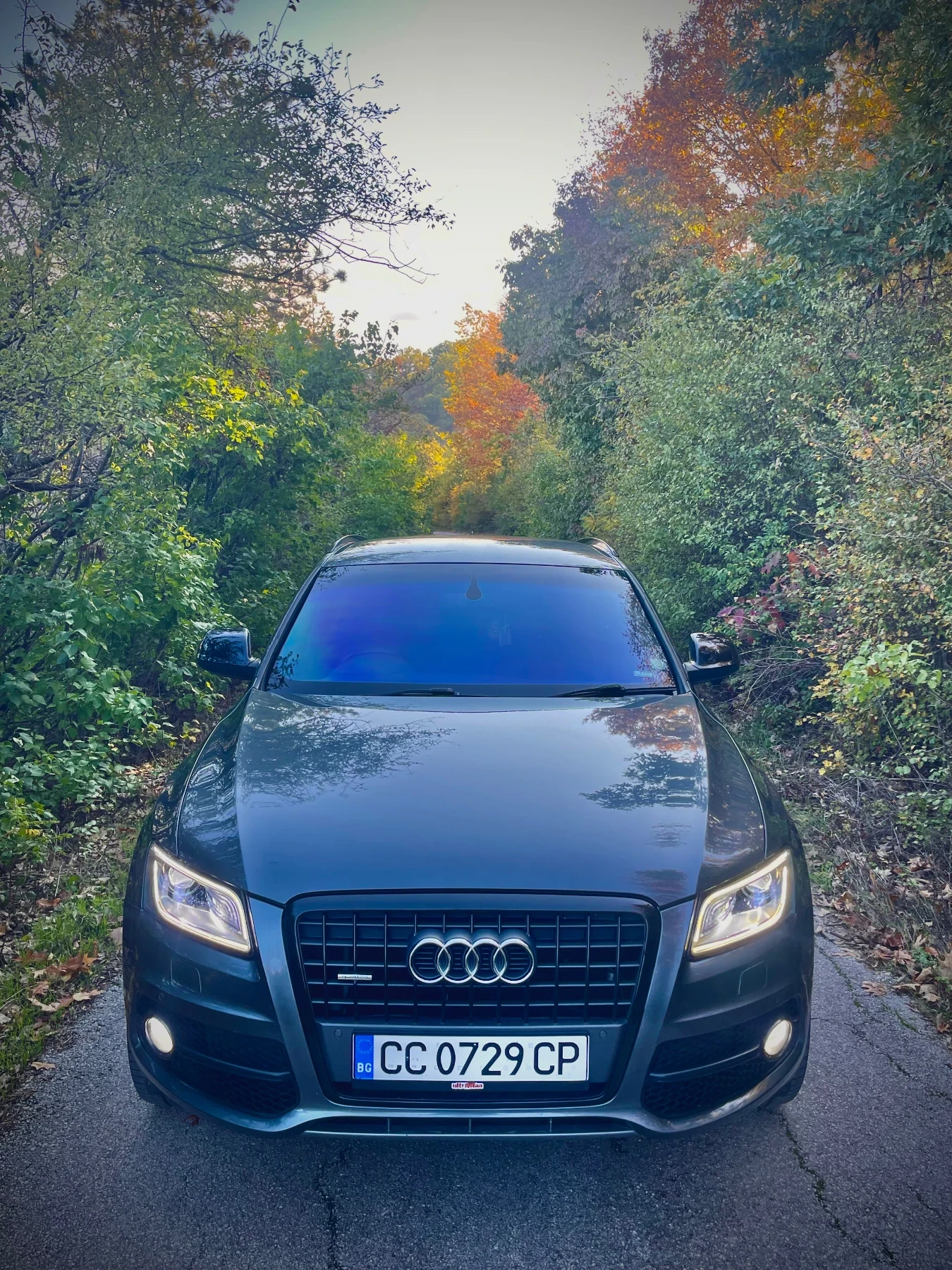 Audi Q5 Black Edition S-line 2.0 TDi 170kc 4x4 , снимка 4 - Автомобили и джипове - 54142089