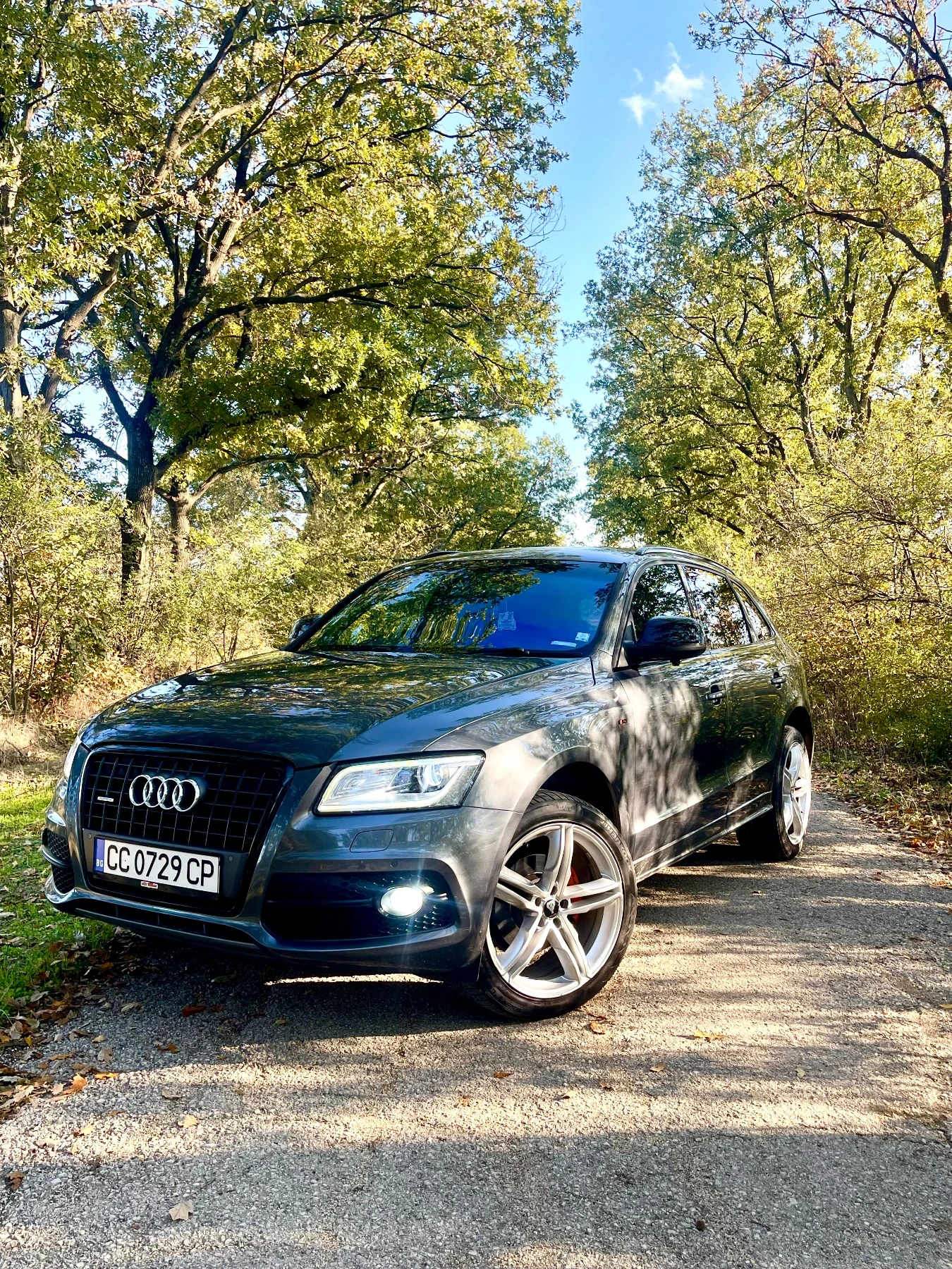 Audi Q5 Black Edition S-line 2.0 TDi 170kc 4x4 , снимка 17 - Автомобили и джипове - 54142089