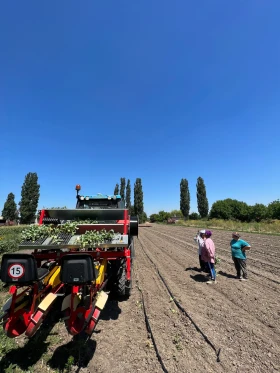 Специализирани машини Машини за зеленчуци Разсадопосадъчна , снимка 2 — Bazar.bg Специализирани машини Машини за зеленчуци Разсадопосадъчна , снимка 2
