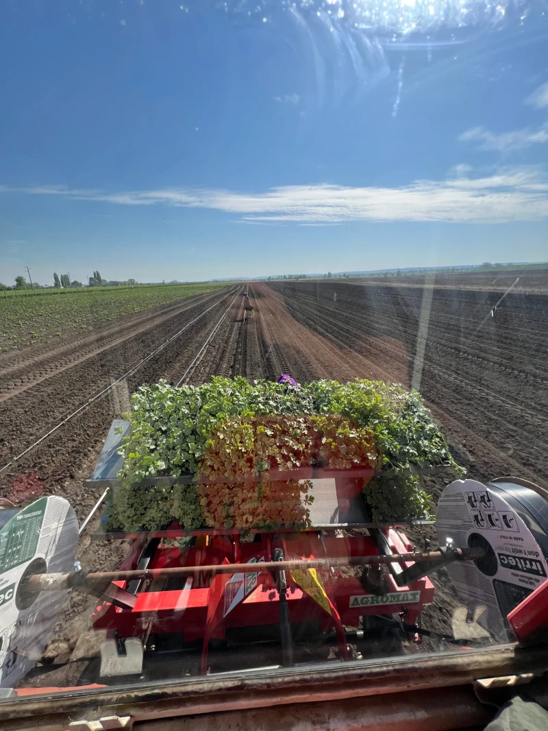 Специализирани машини Машини за зеленчуци Разсадопосадъчна , снимка 6 - Селскостопанска техника - 52752112