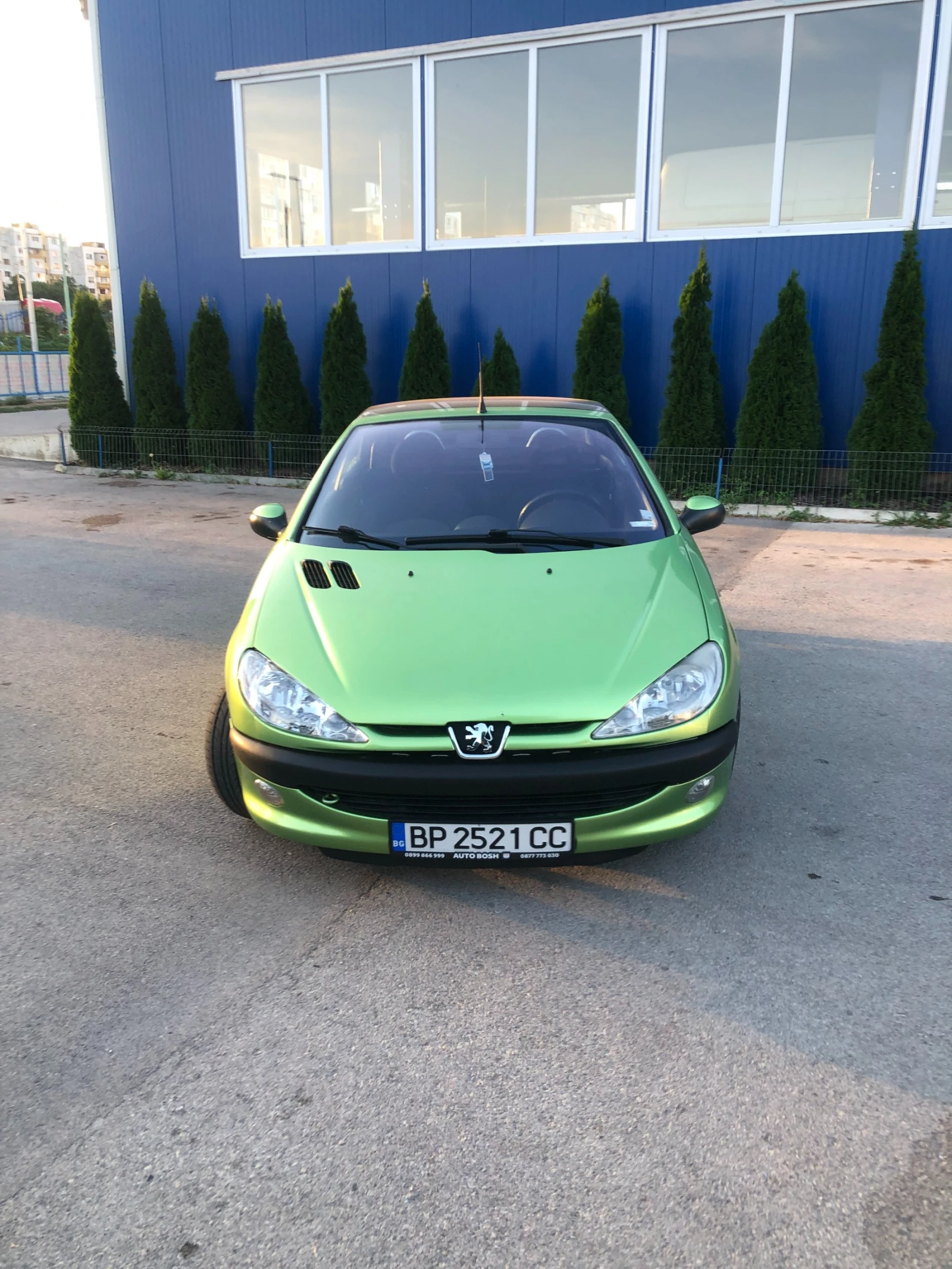 Peugeot 206 206CC, снимка 1