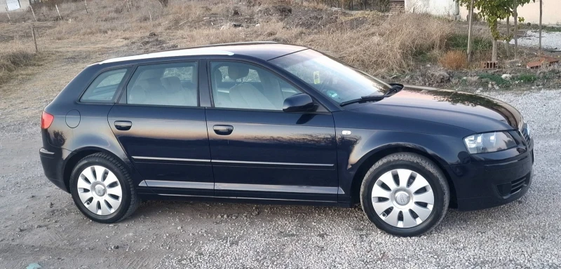 Audi A3 1.9 TDI, снимка 13 - Автомобили и джипове - 47909842