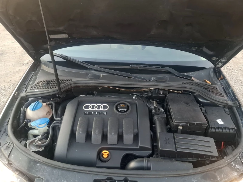 Audi A3 1.9 TDI, снимка 12 - Автомобили и джипове - 47909842