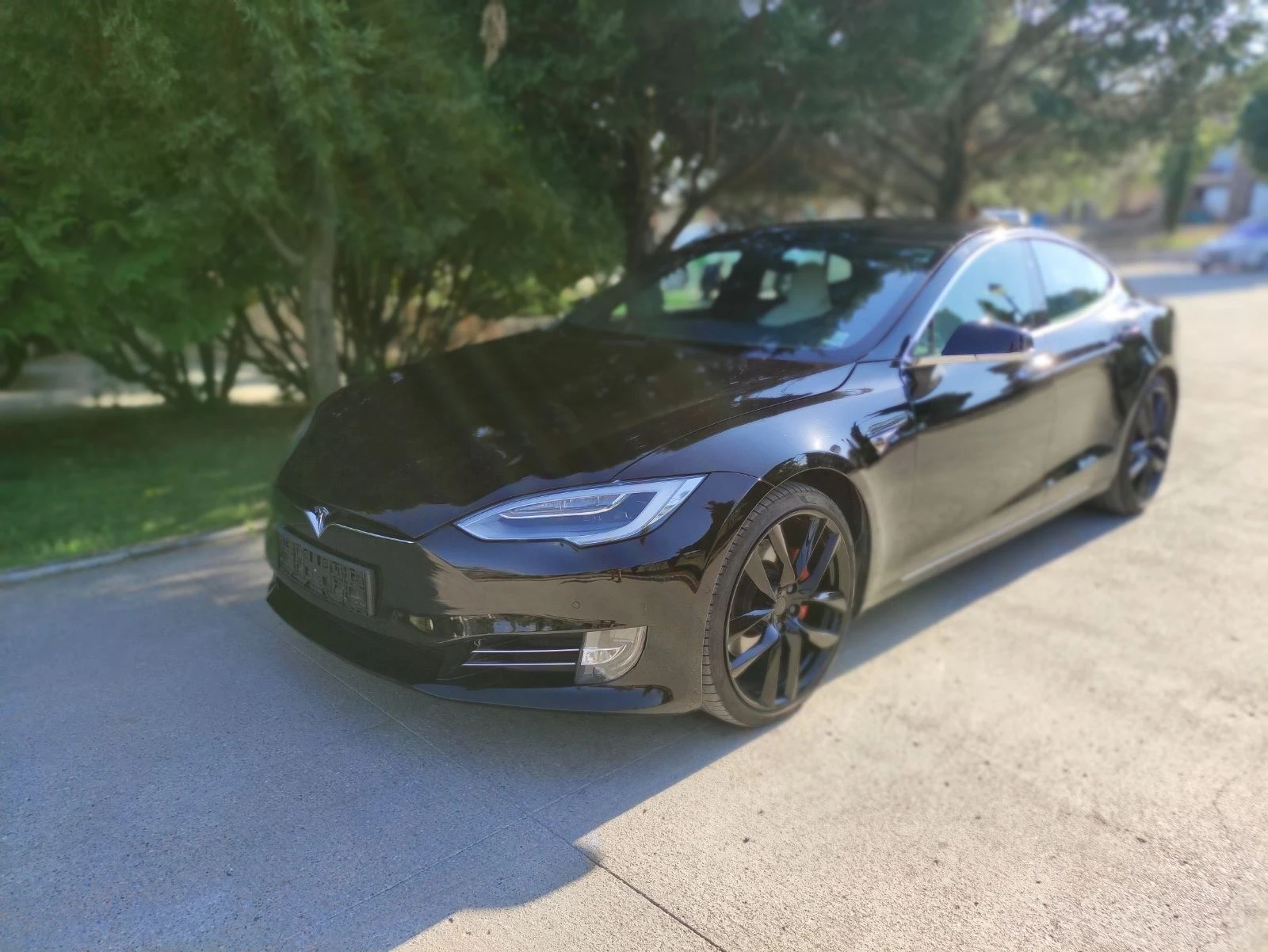 Tesla Model S Performance Ludicarous Raven 795, снимка 1