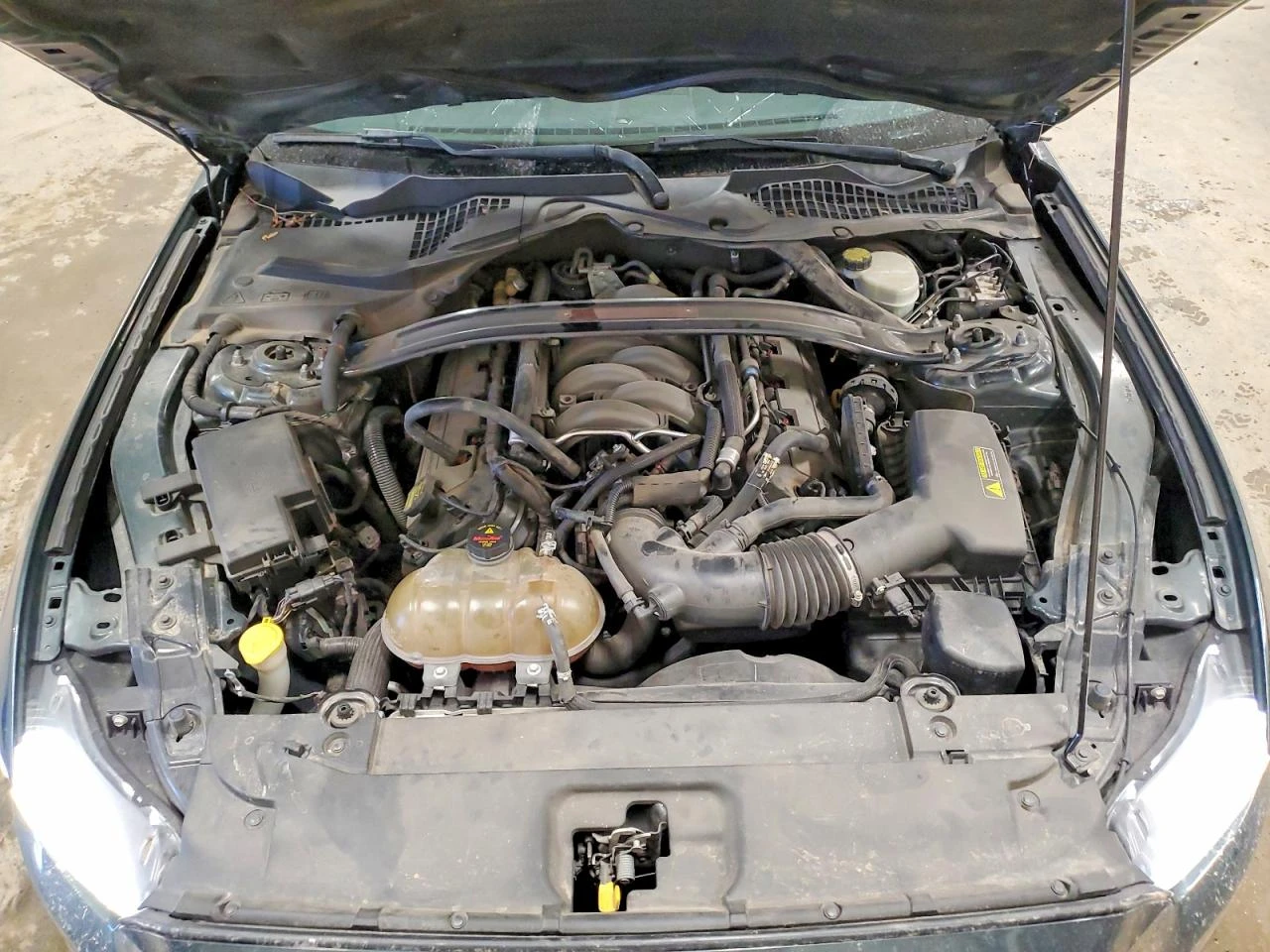 Ford Mustang 5.0l Gt, снимка 11 - Автомобили и джипове - 55580391