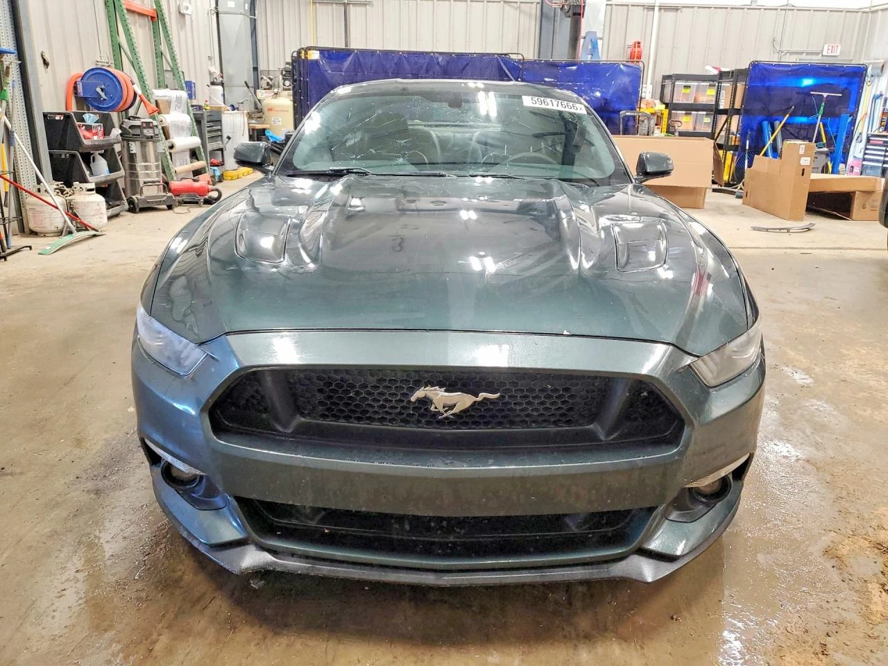 Ford Mustang 5.0l Gt, снимка 5 - Автомобили и джипове - 55580391