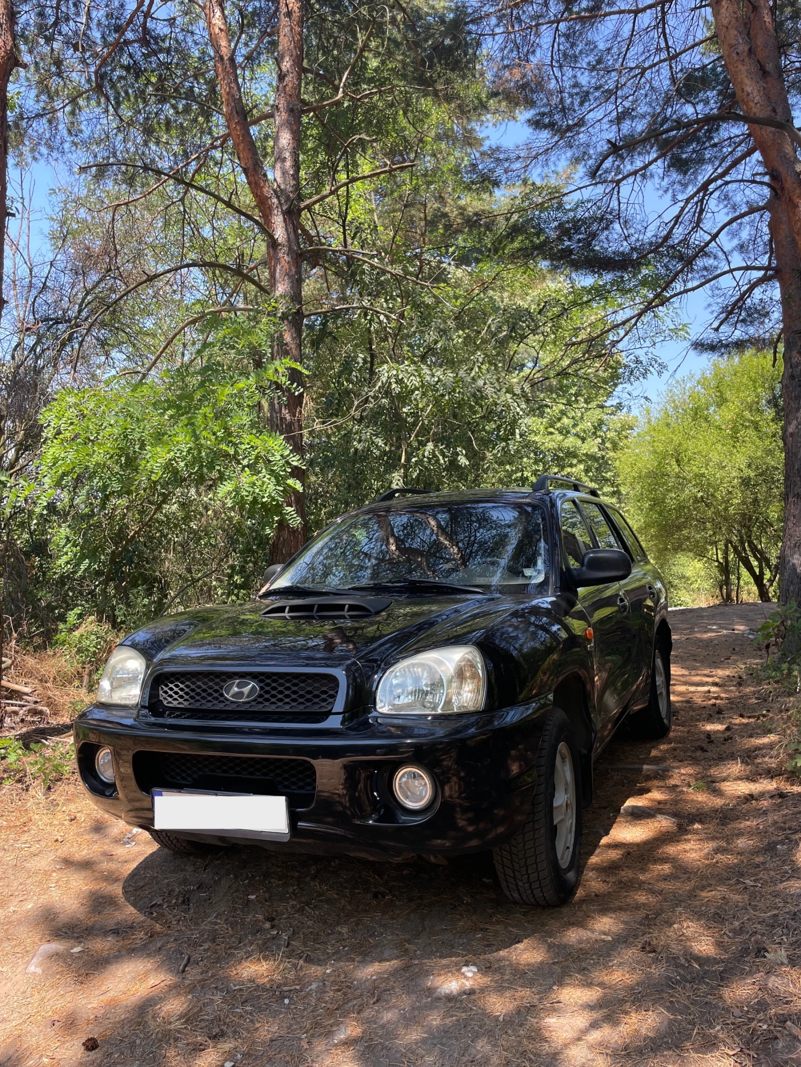 Hyundai Santa fe 2.0 CRDi 4x4   2002 г.
